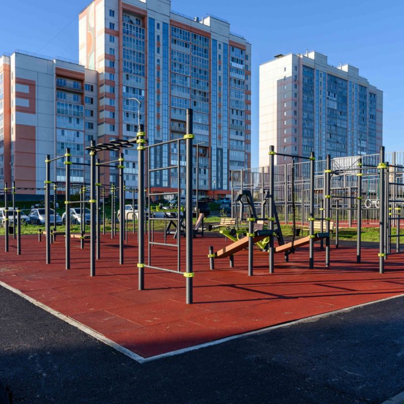 W345 Воркаут (шведская стенка, рукоход-змеевик, 5 перекладин) ZAVODSPORTA