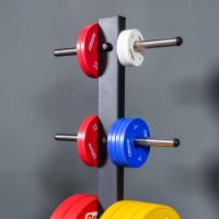 Диск профессиональный обрезиненный (цветной) D51 мм PROFI-FIT 0,5 кг