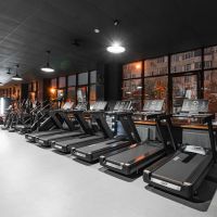 Профессиональная беговая дорожка DHZ X-8600P