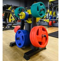 Диск обрезиненный FASSION цветной D51 мм PROFI-FIT 20 кг