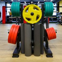 Диск обрезиненный FASSION цветной D51 мм PROFI-FIT 20 кг