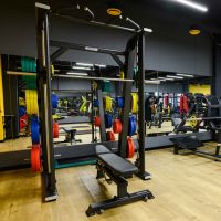Диск обрезиненный FASSION цветной D51 мм PROFI-FIT 20 кг