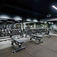 Гантельный ряд профессиональный (шаг 2,5 кг, 5 пар) PROFI-FIT 27,5-37,5 кг